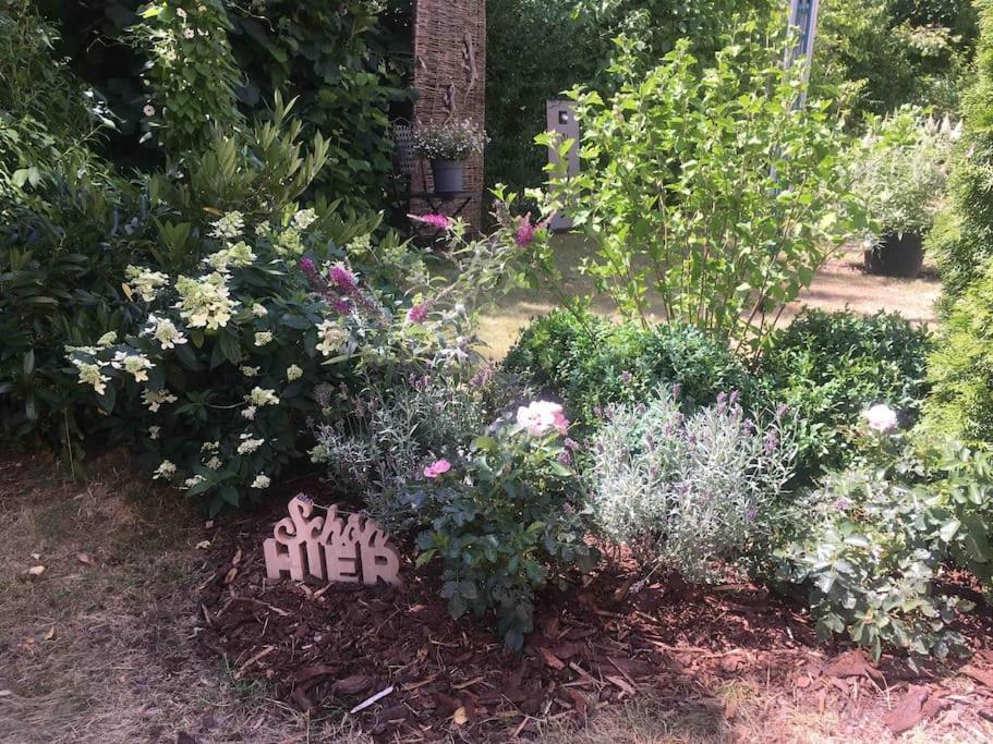 Schoene Gartenwohnung Im Seenland Apartment Wackersdorf